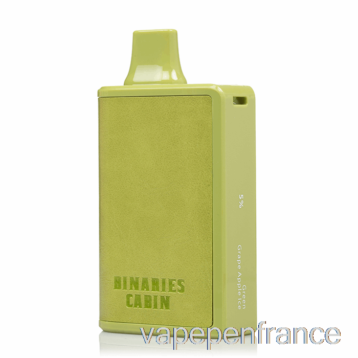 Horizon Binaires Cabine 10000 Stylo Jetable De Vape De Glace De Pomme De Raisin Vert